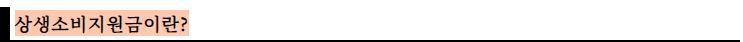 소비상생지원금