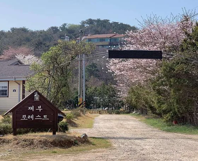 제부포레스트