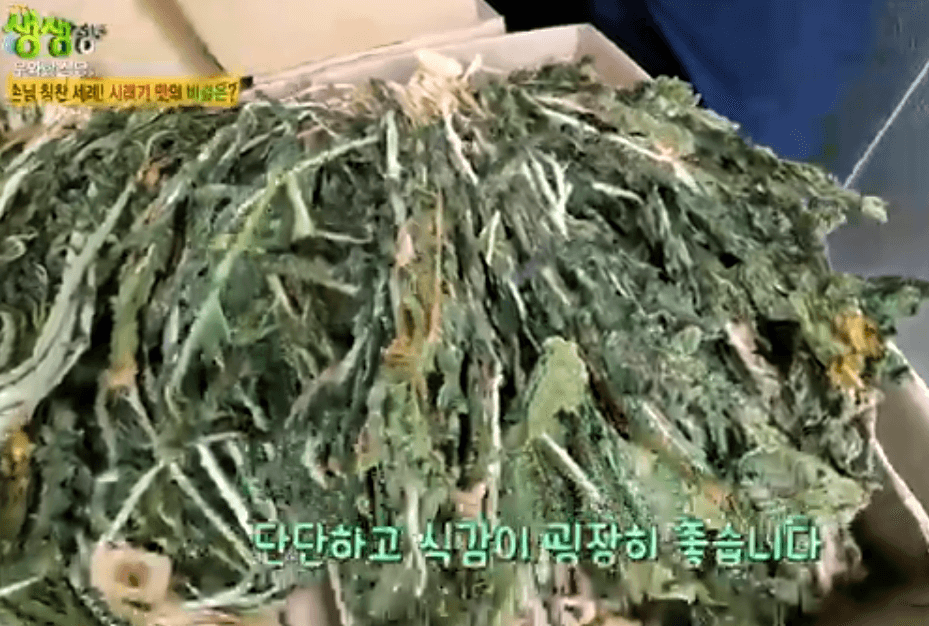 생생 정보통 맛집 맛의 비결