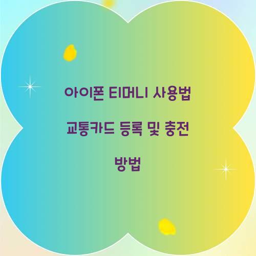 아이폰 티머니 사용법 교통카드