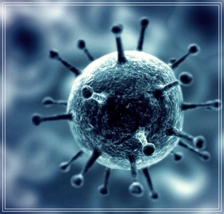 번데기의 놀라운 효능 3가지