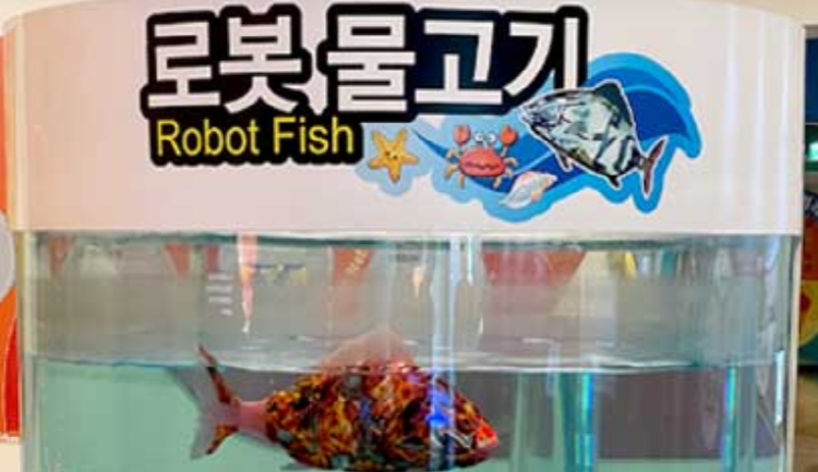 창원 과학체험관