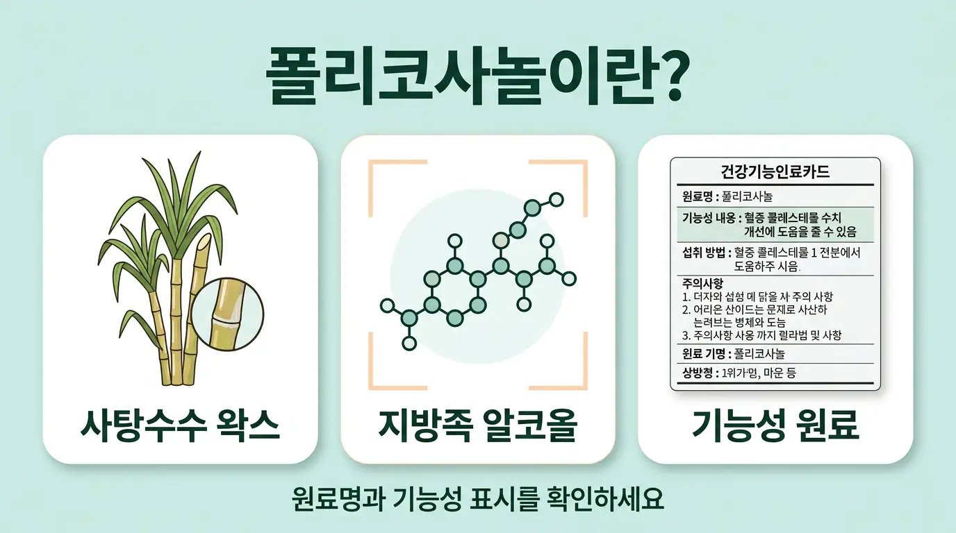 폴리코사놀이란 사탕수수 왁스 알코올 성분 설명