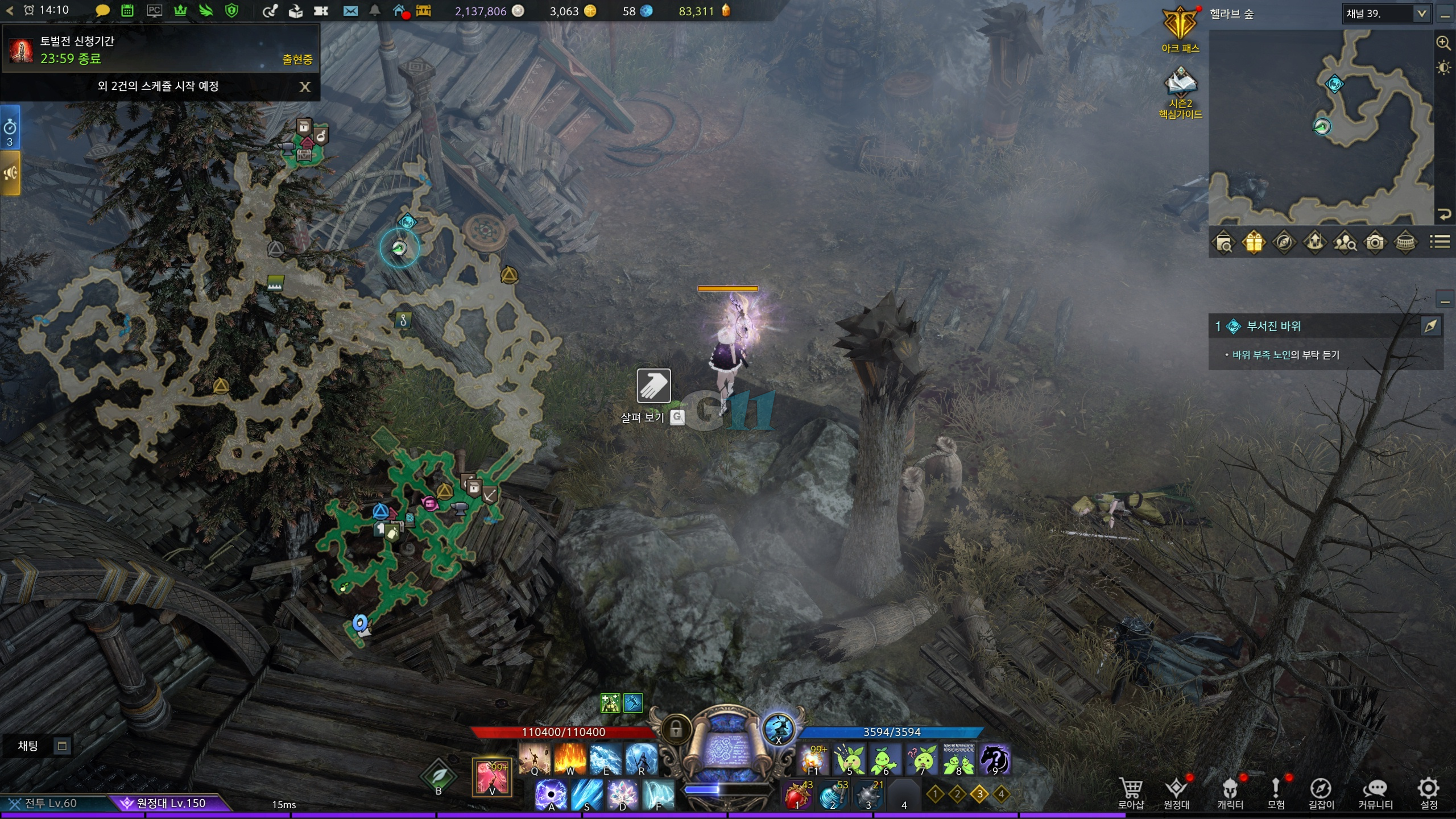 어금니의강 모코코