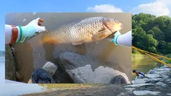 강화도 숭어낚시 최고 포인트 추천 정확한 주소와 주차 정보_8