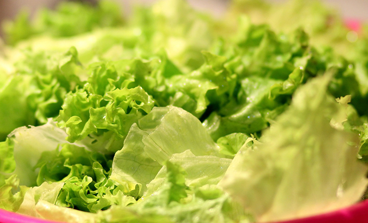 상추 불면증에 좋은 음식 불면증 극복하는 법