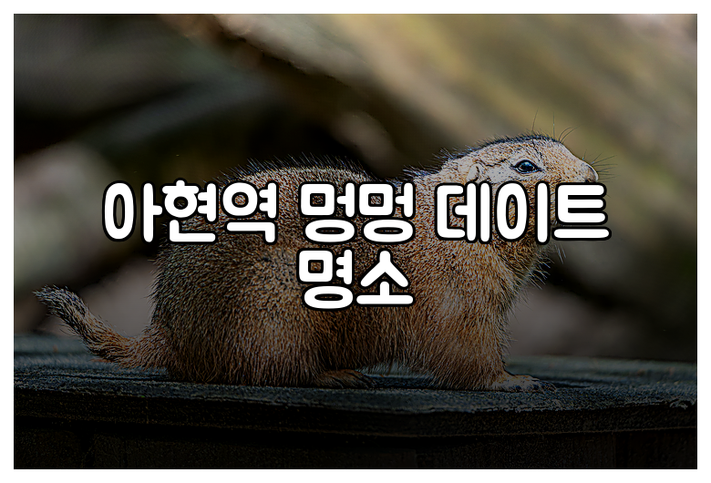 아현역 멍멍 데이트 명소