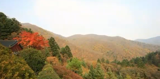 오대산-단풍