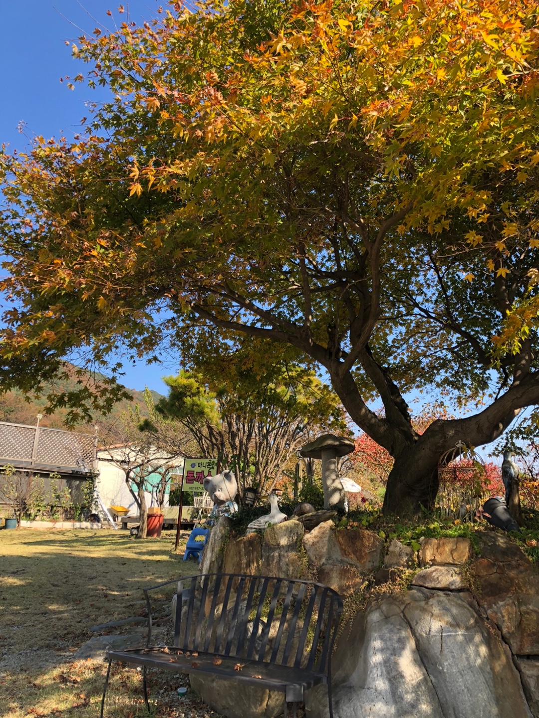 마니온 돈까스 3