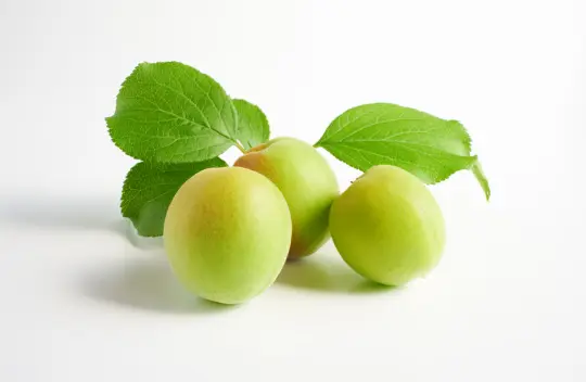 매실 효능 및 영양성분, 매실 가격