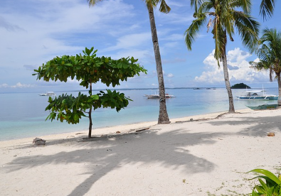 필리핀 세부 여행하기 좋은 계절