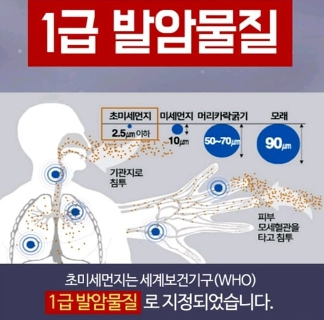 초미세 먼지 1급 발암물질