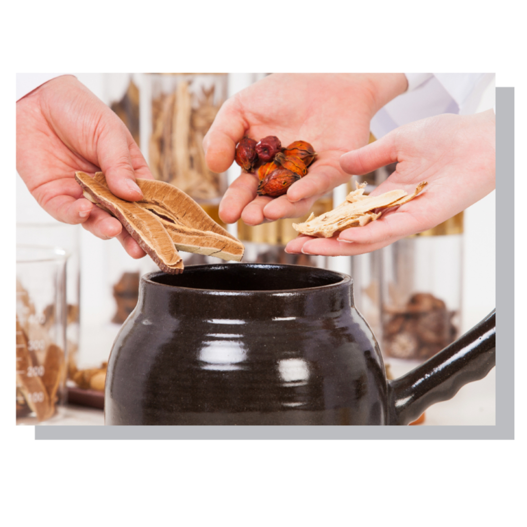 녹용과 관련된 사진입니다.