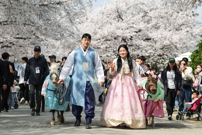 3. 렛츠런파크 서울 벚꽃축제 '벚꽃야경' (Let's Run Park Seoul Cherry Blossom Festival 'Cherry Blossom Night View')3