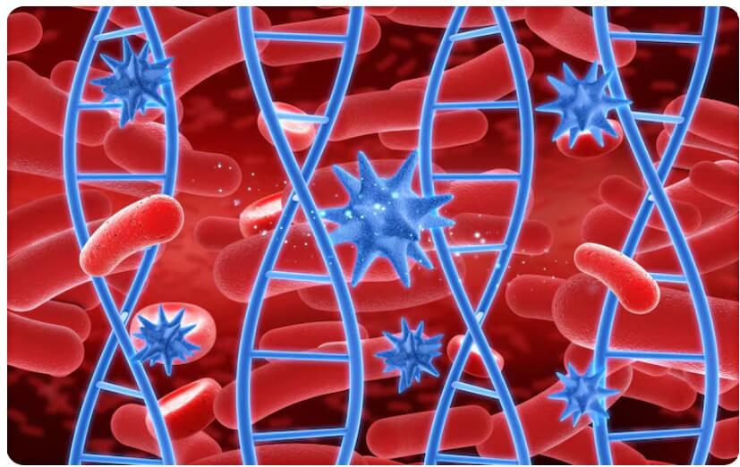 혈관 속 콜레스테롤 수치를 보여주는 모습