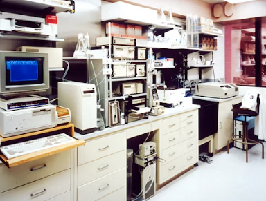 실손보험 청구 서류 기간 간소화 보장내용