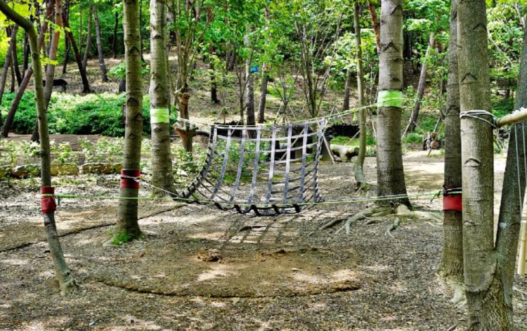 당진 삼선산수목원