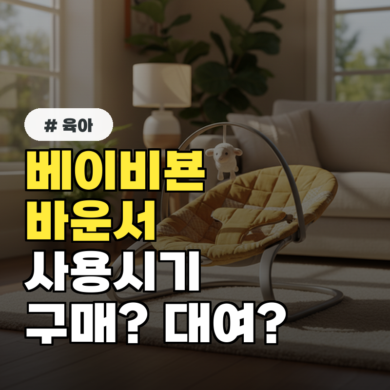 베이비뵨 바운서 사용시기, 구매 vs 대여 언제까지