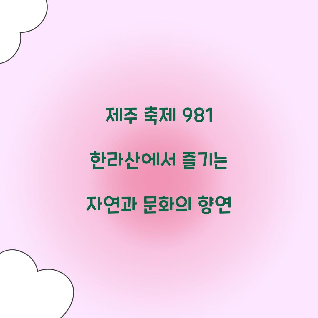 제주 축제 981 한라산