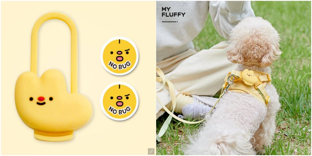 반려인능력시험