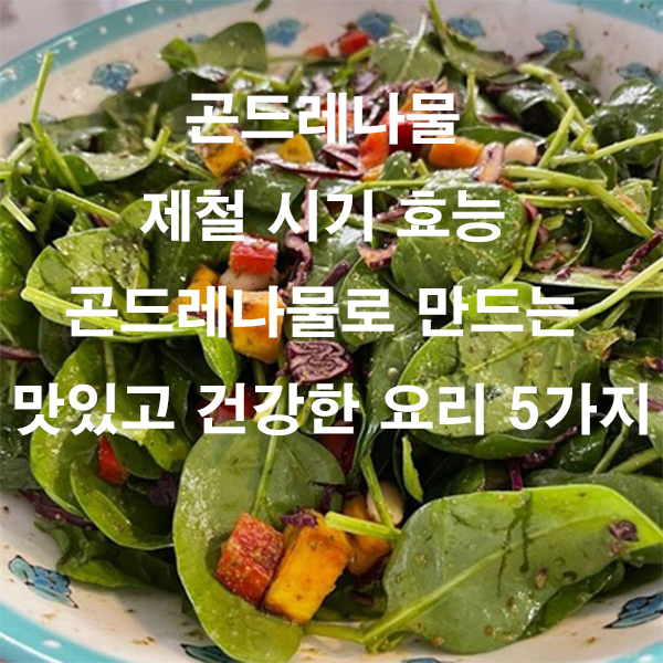 곤드레나물 제철 시기 효능 곤드레나물로 만드는 맛있고 건강한 요리 5가지