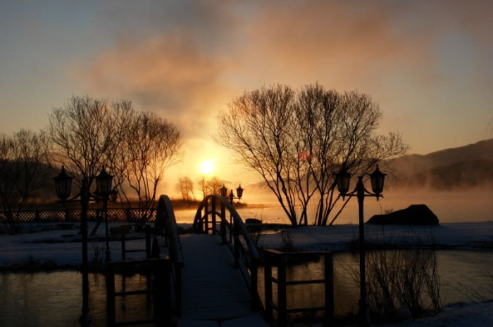 2024 세미원 연꽃축제