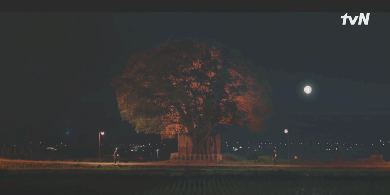 스프링-피버-촬영지-몇부작-인물관계도