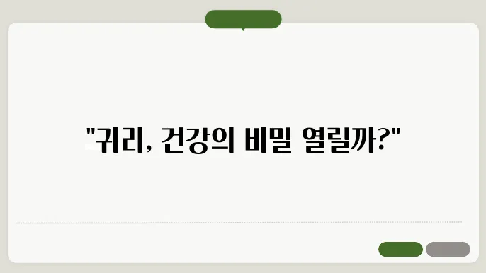 귀리 요리 아이디어