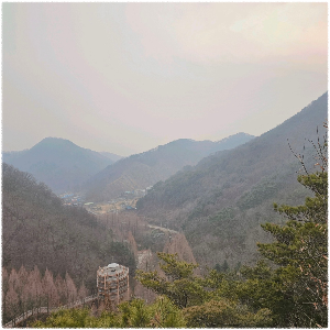 장태산