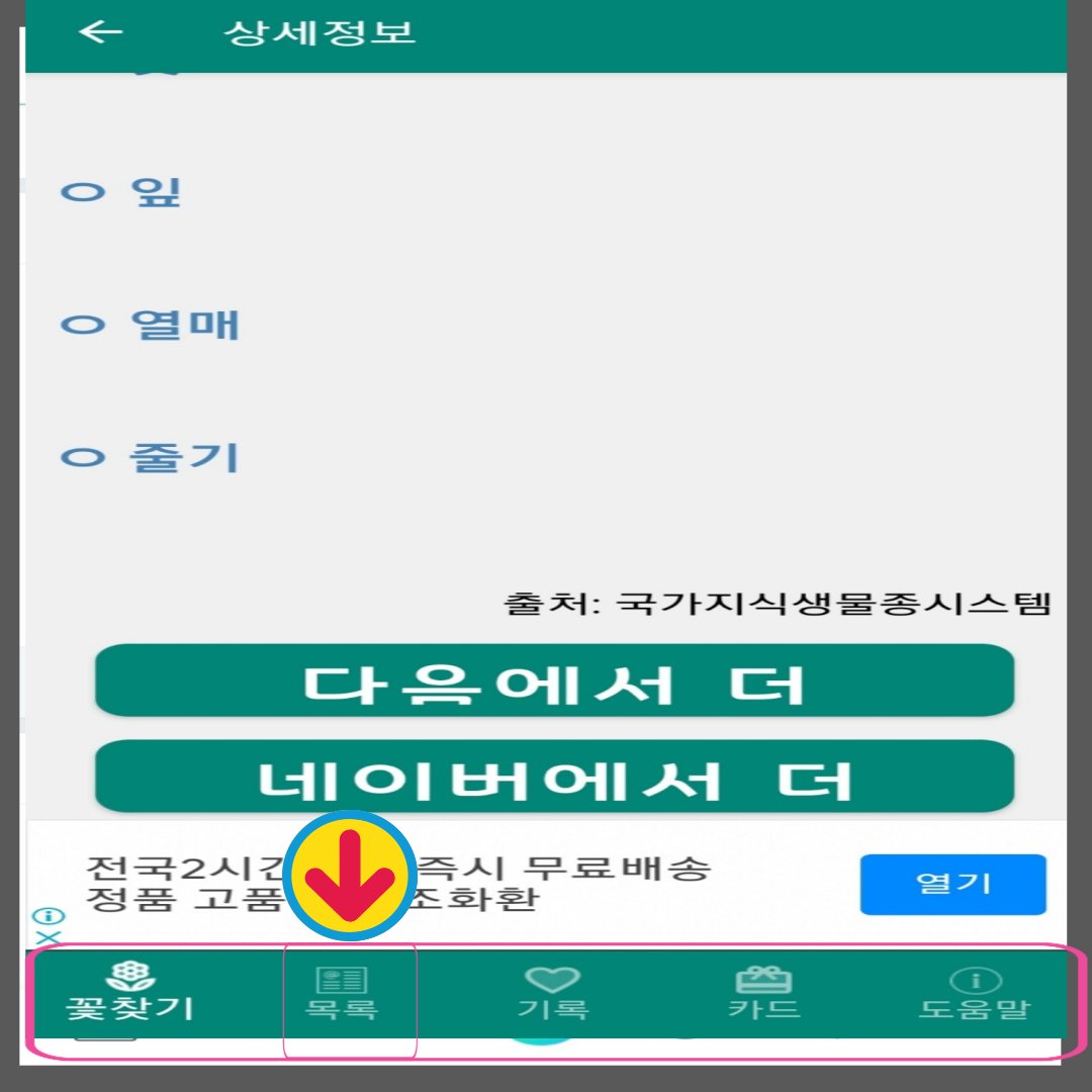 꽃이름 찾기 앱