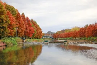 담양 맛집 베스트10 진짜 현지인만 아는곳_17