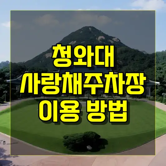 청와대 사랑채 주차장의 위치와 이용 방법 안내