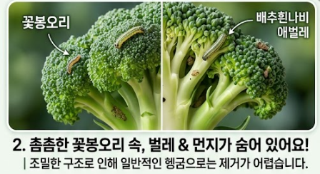 브로콜리 씻는방법