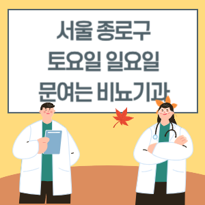 서울 종로구 토요일 일요일 비뇨기과 진료 병원 리스트