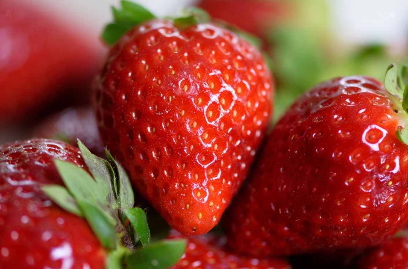 딸기 농업의 모든 것: 재배 기술과 지속 가능한 생산 방법