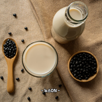 병아리콩 두유 만드는 법