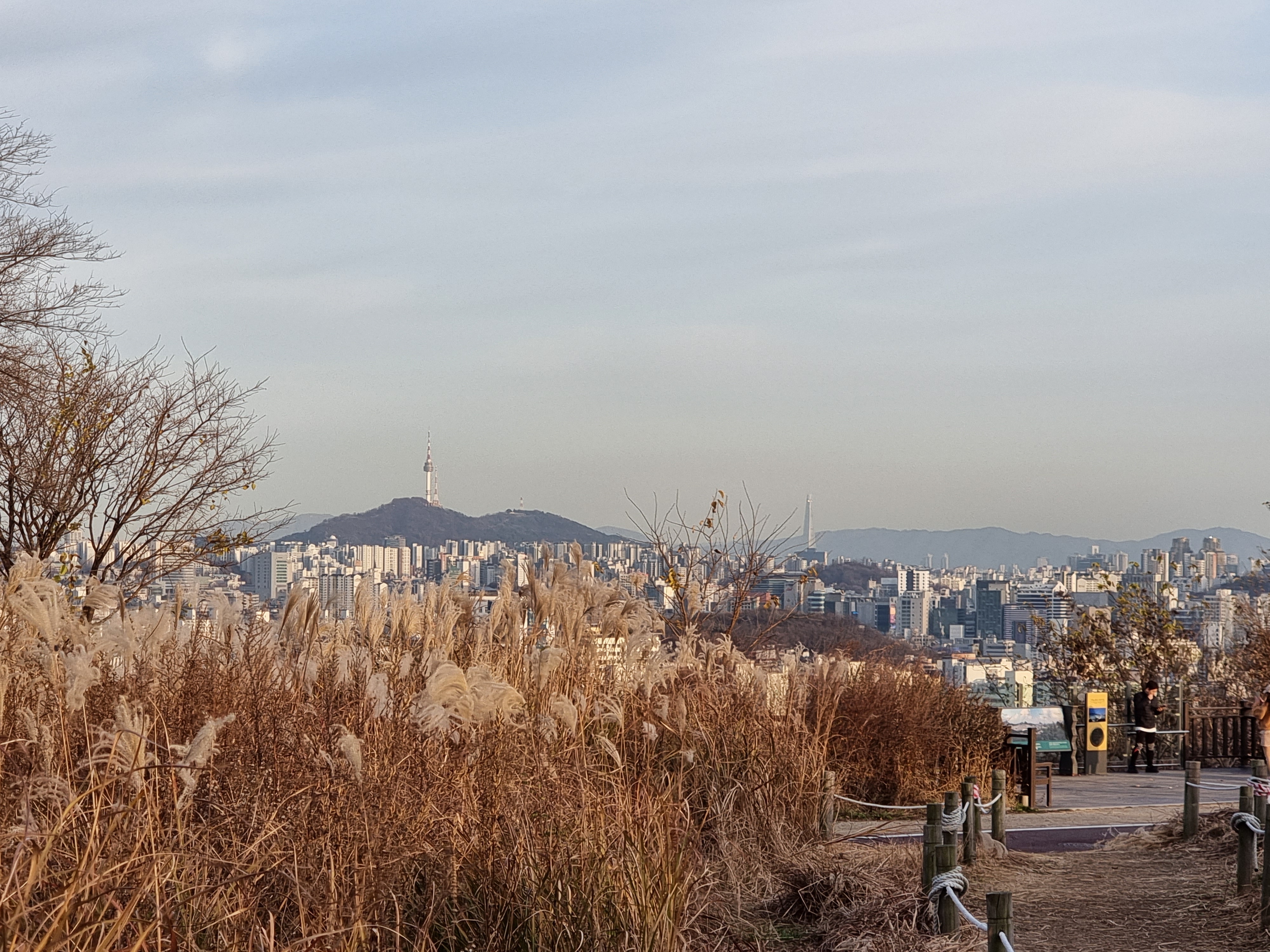 하늘공원에서 보이는 남산타워와 롯데타워