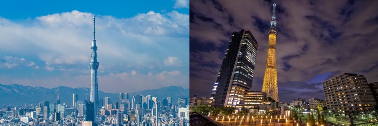 도쿄자유여행 (출처:일본관광국)