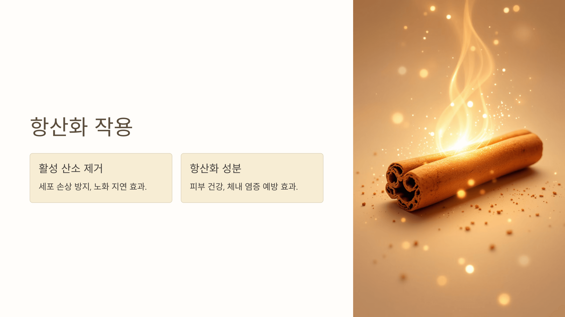 계피 사진입니다.