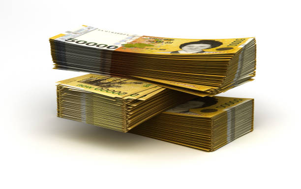 전국민 25만원 민생회복지원금