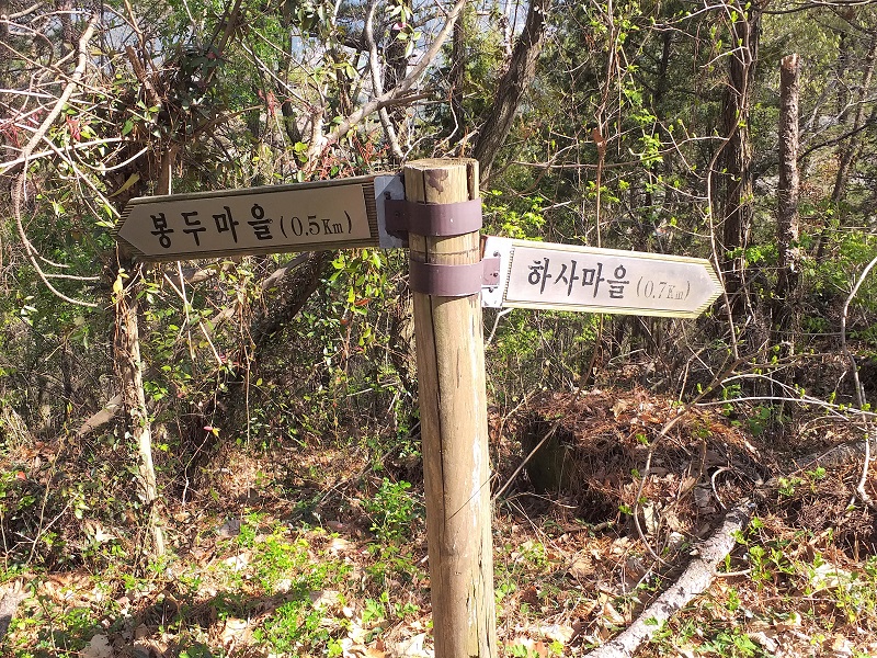 등산 칼로리