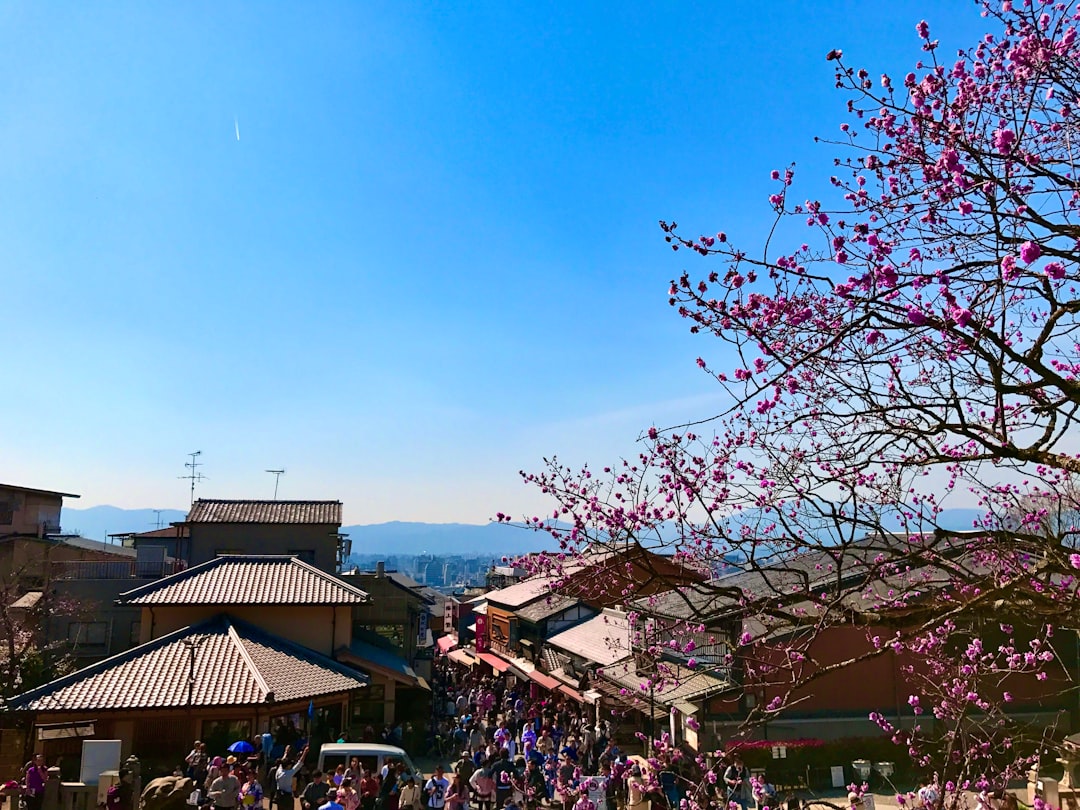 Gwangyang Plum Blossom Festival