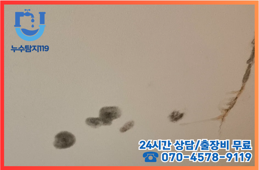성남동누수2
