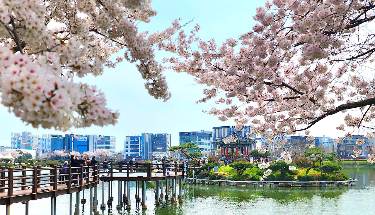 서산 1인 가구 생활비 상세 분석 — 서산에서 생활비를 아끼는 방법은 생활 구조를 바꾸는 것에서 시작된다