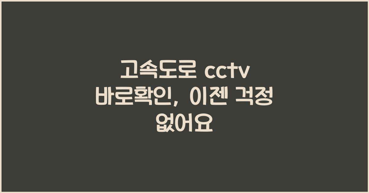 고속도로 cctv 바로확인