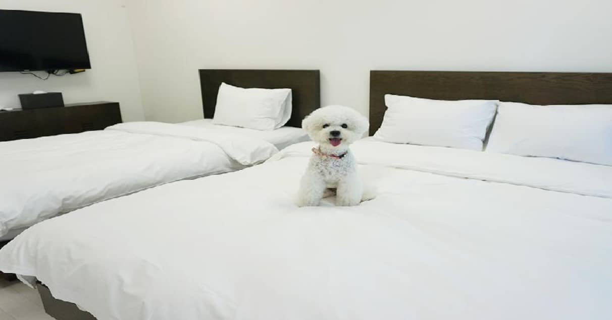 월드스카이호텔-객실