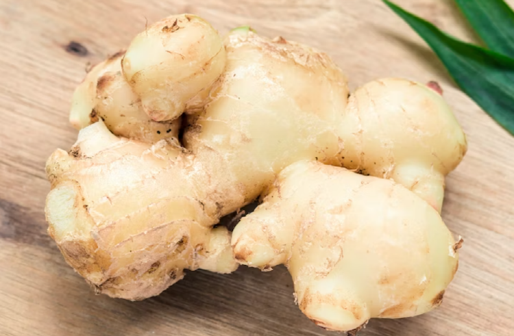 장어 효능 칼로리