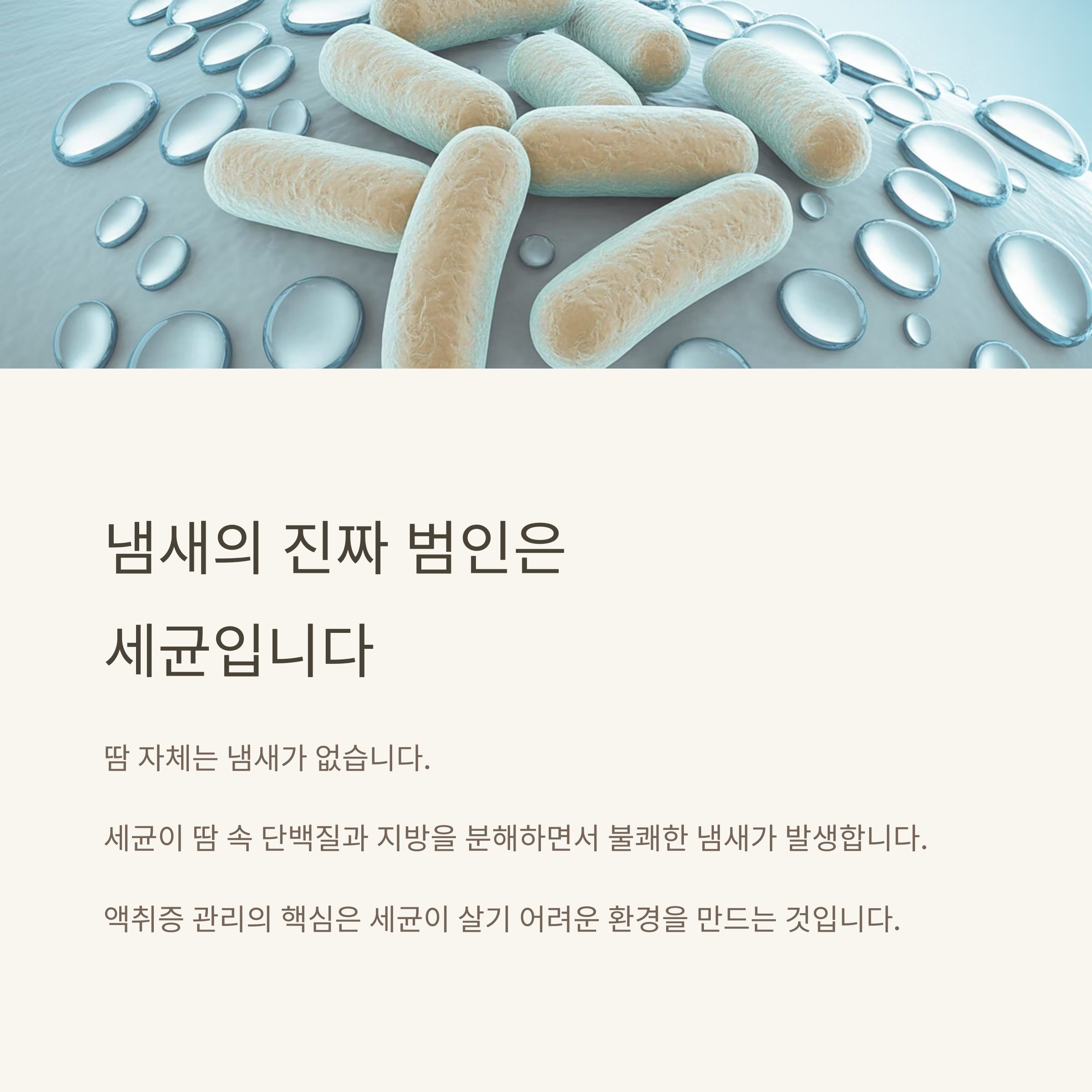 여름철 땀 냄새(액취증)