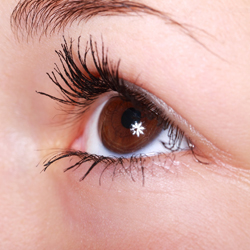 눈이미지예시01