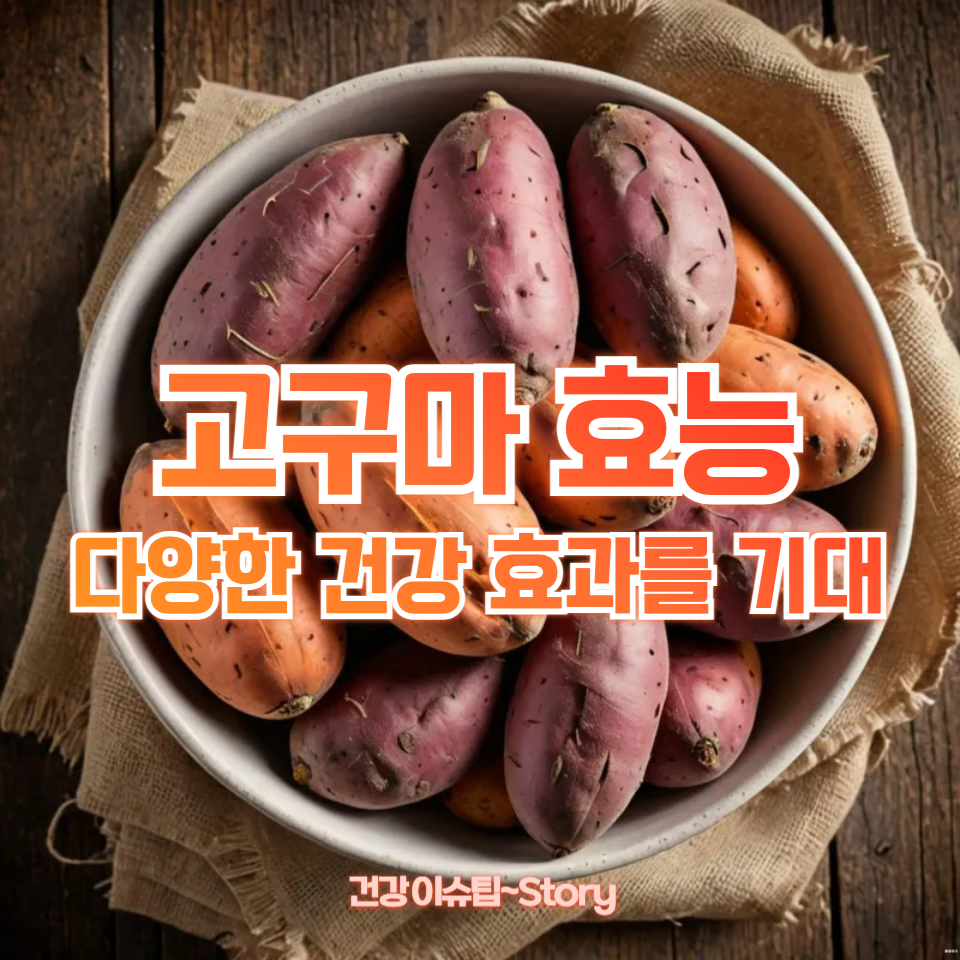 고구마 효능